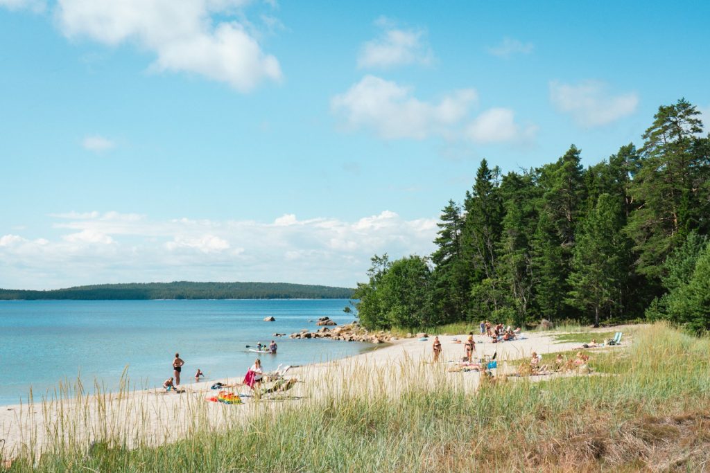 A group of people on a beach near the water