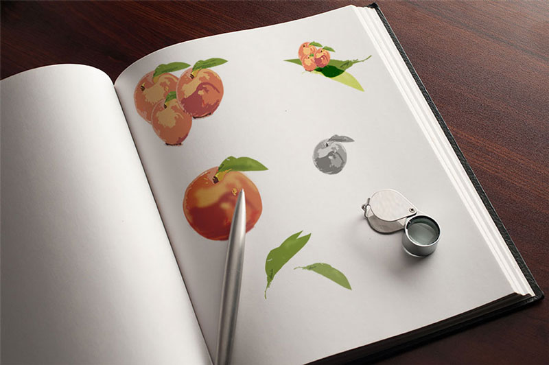 Diseño Publicitario Ilustrado